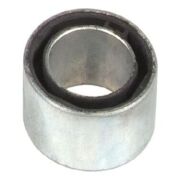 Torsiyon Burcu Kango