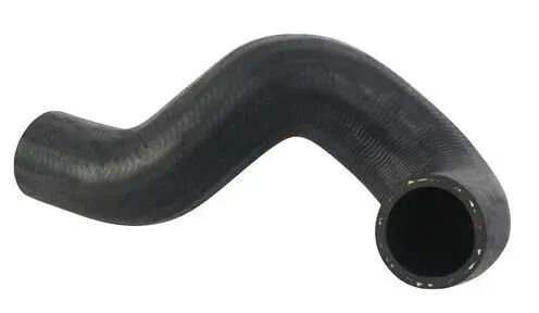 Termostat Hortumu Doğan Kartal Şahin