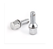 Bijon Civatası Kromajlı Pullu Renault R9