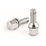 Bijon Saplaması Ön Kısa Renault R12