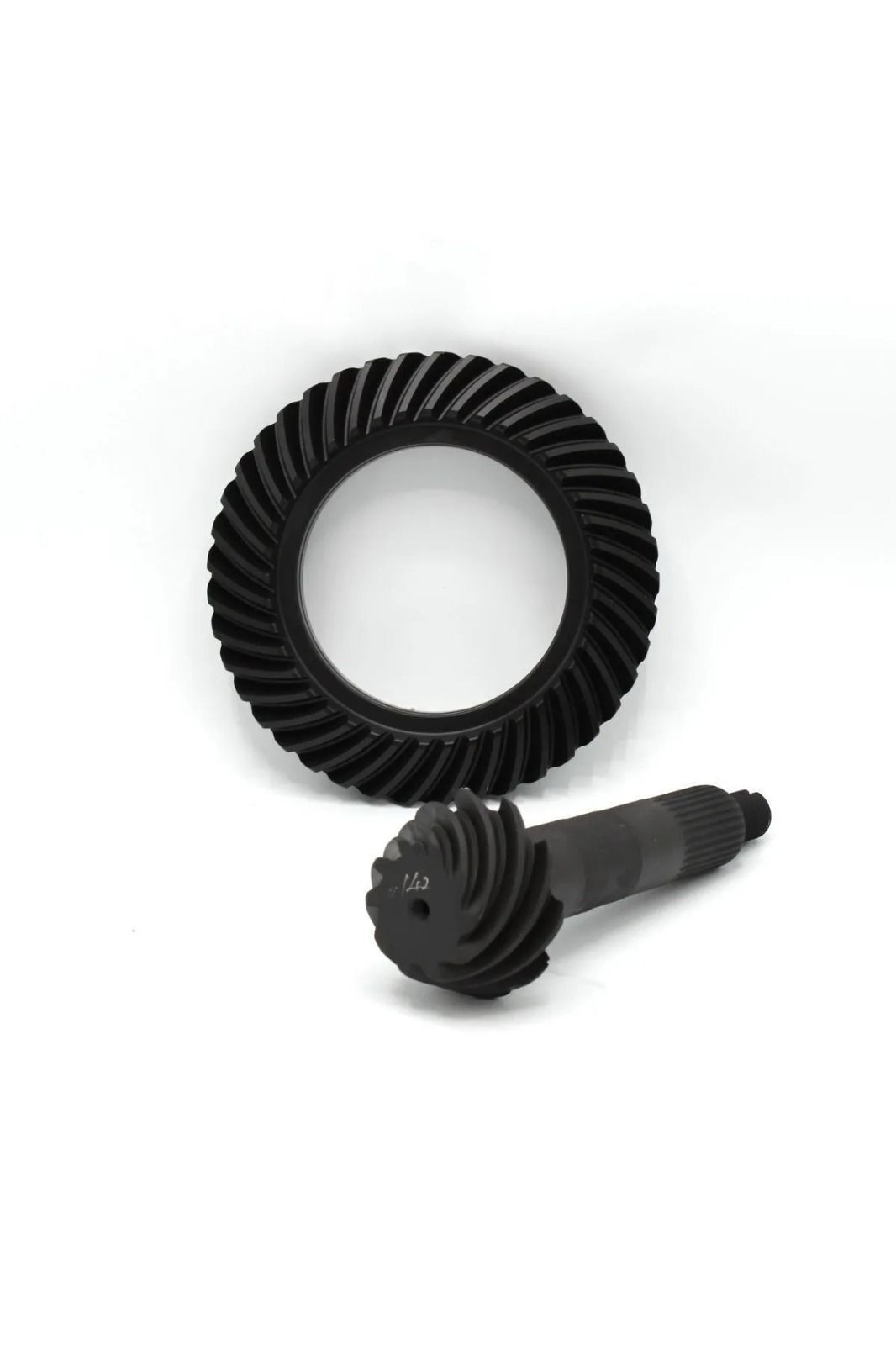 Ayna Mahruti Doğan Kartal Şahin