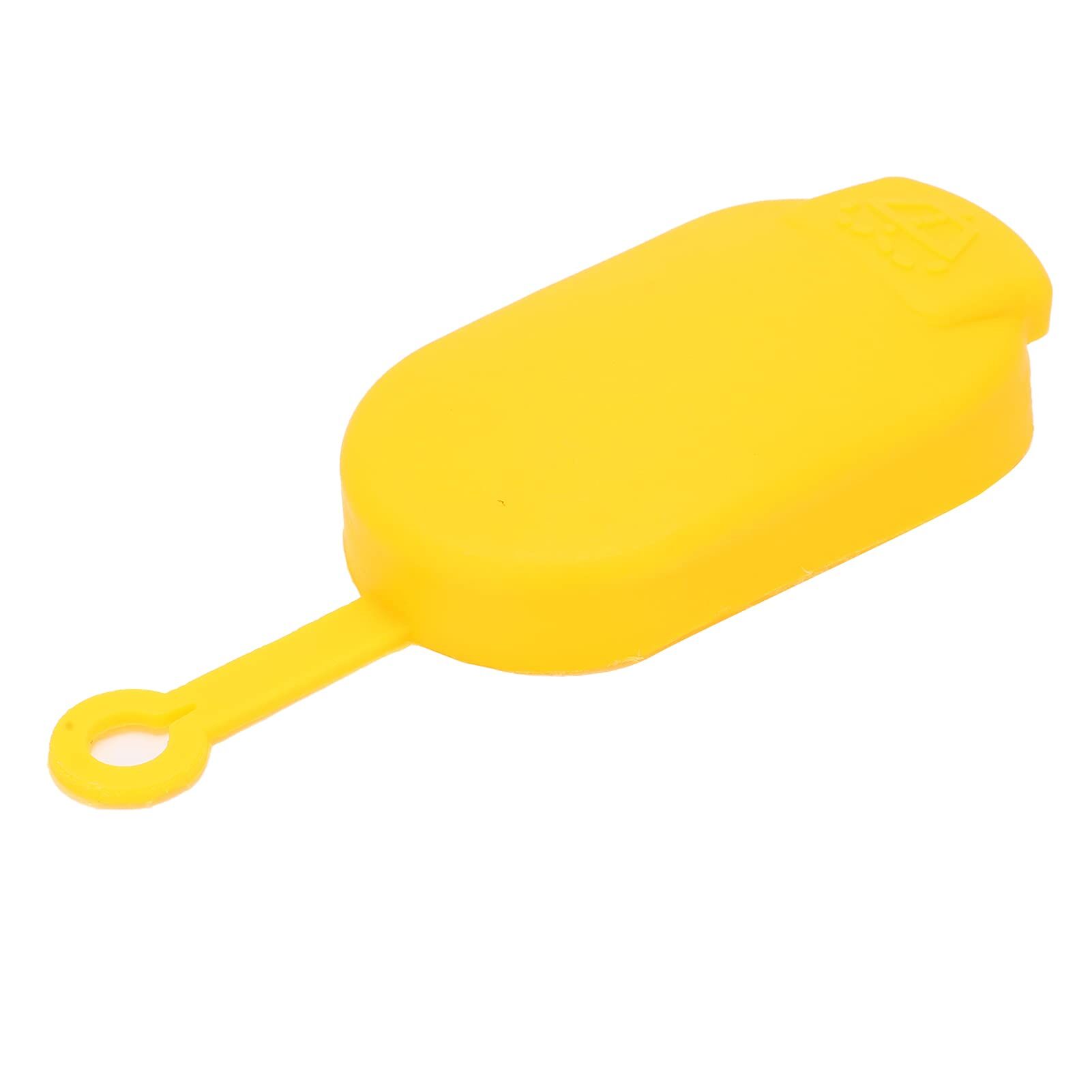 CAM SU FISKIYE DEPO KAPAĞI MEGANE