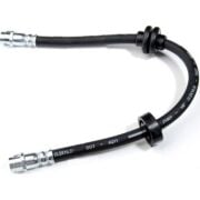 Fren Hortumu Ön Laguna I