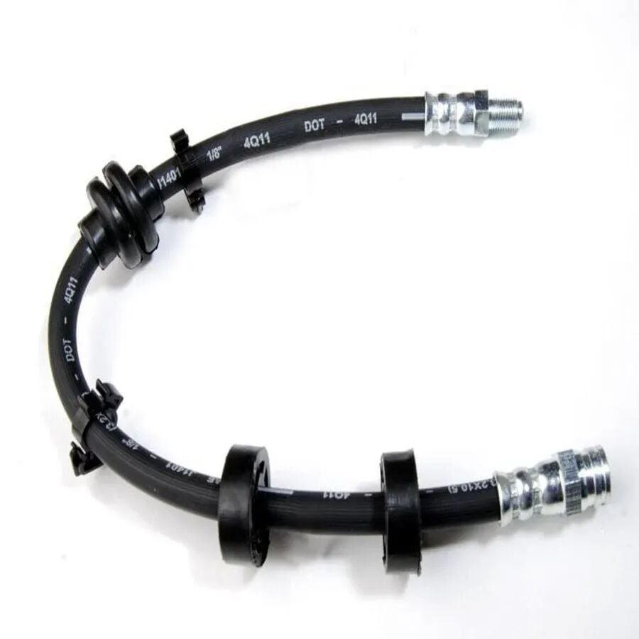 Fren Hortumu Ön Palio Siena Albea