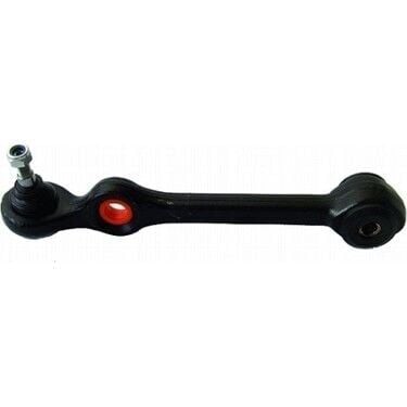 Rotilli Kol Doğan Kartal Şahin