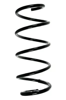 Helezon Yayı Ön Megane Iı