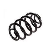 Helezon Yayı Arka Clio Iı