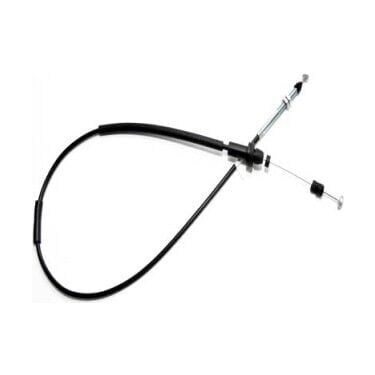 Gaz Teli Palio Siena Weekend