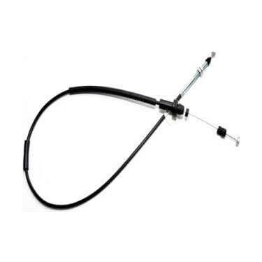 Gaz Teli Palio Siena Weekend