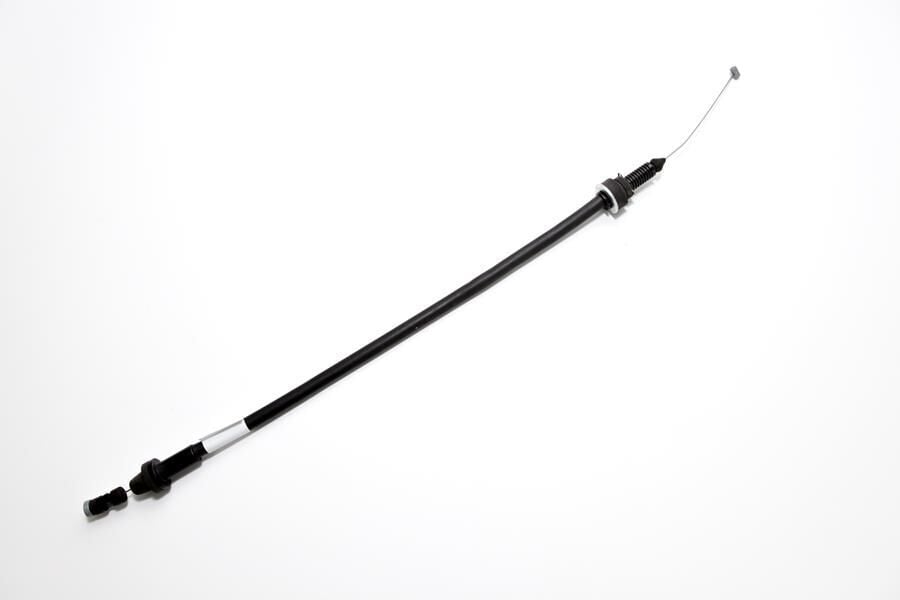 Gaz Teli Palio Siena Weekend 1.6