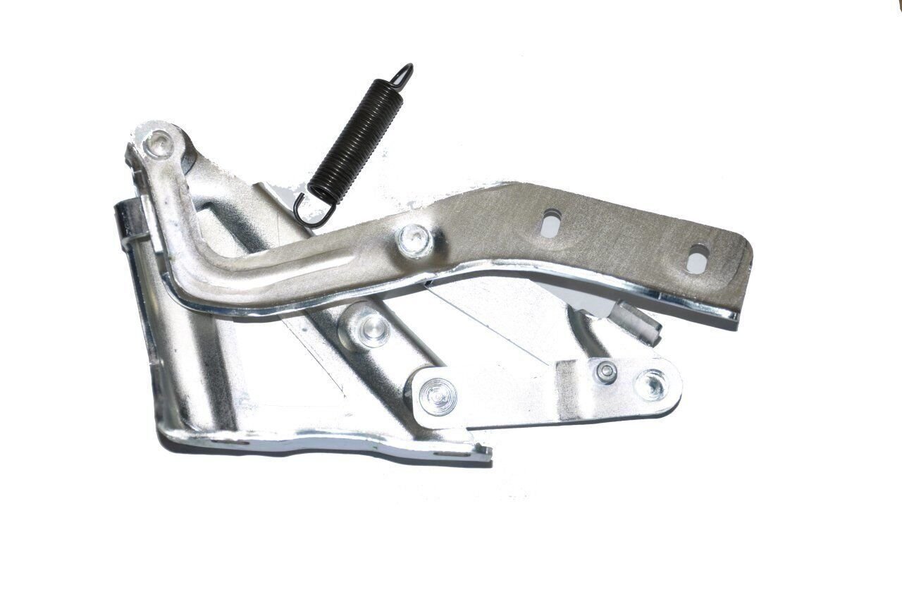 Kaput Menteşesi Sol Fiorino