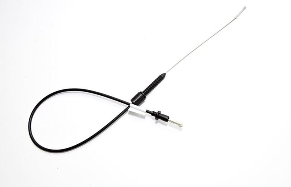 Gaz Teli Renault R21 Manager