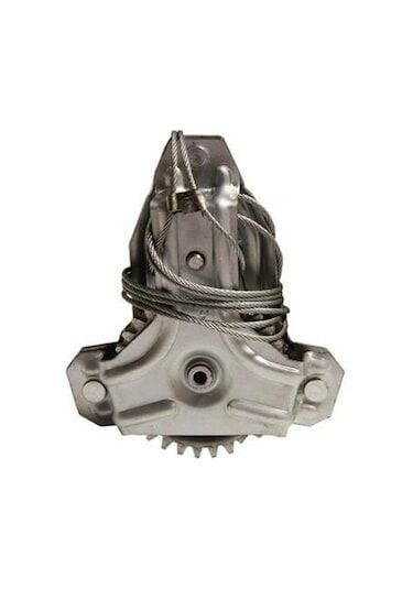 Cam Krikosu Ön Doğan Kartal Şahin