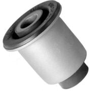 Salıncak Burcu Megane Iı