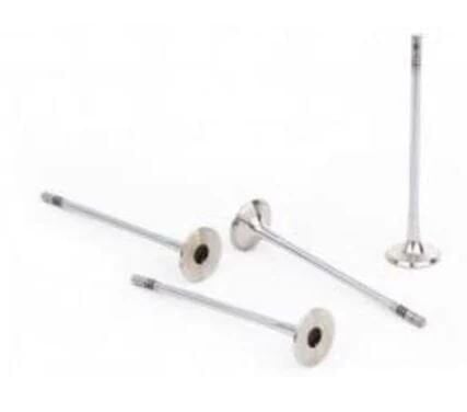 Supap Master 2.5 D S 8 U Motor