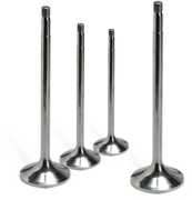 Supap Renault R21 Concorde