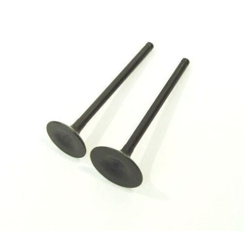 Supap Laguna Safrane Renault R12 R21 T