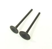 Supap Laguna Safrane Renault R12 R21 T