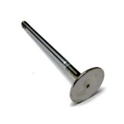 Supap Brava Marea 1.8 16V