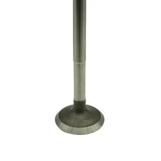 Supap Kango Expres 1.9 Dizel Em