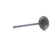 Supap Megane 2.0 16V F5R