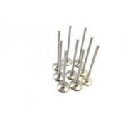 Supap Megane Laguna Scenıc 2.0 16V F4R